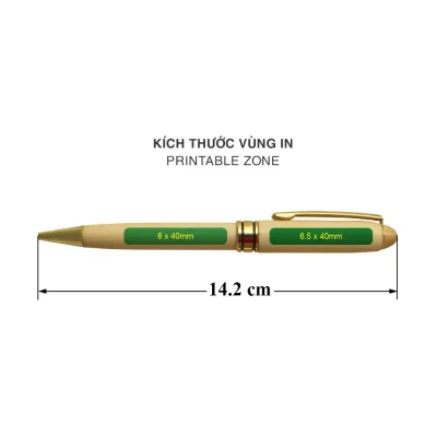 Sơ đồ nguồn BGV 001 dài 14,2 cm và vùng thể hiện 6 x 40 mm, 6,5 x 40 mm