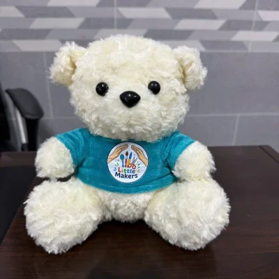 Gấu bông cỡ 20 cm, áo xanh ngọc – so sánh hai cách thể hiện nhận diện trên áo