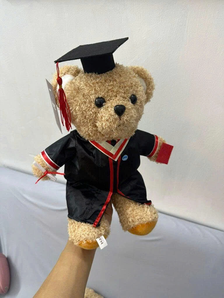 Gấu bông tốt nghiệp cỡ 25cm, áo đen viền đỏ – đối chiếu đúng màu áo và cỡ mẫu