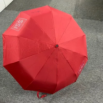 Ảnh nguồn ô đỏ 3F208TĐS mở, nhận diện SSI in trên múi