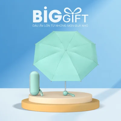 Ô 5F006HXTS xanh mint 8 múi với hộp viên nang trên nền BigGift
