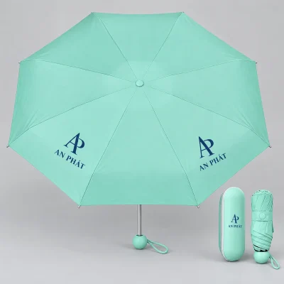 Demo AP AN PHÁT xanh đậm trên ô xanh mint và hộp cùng màu